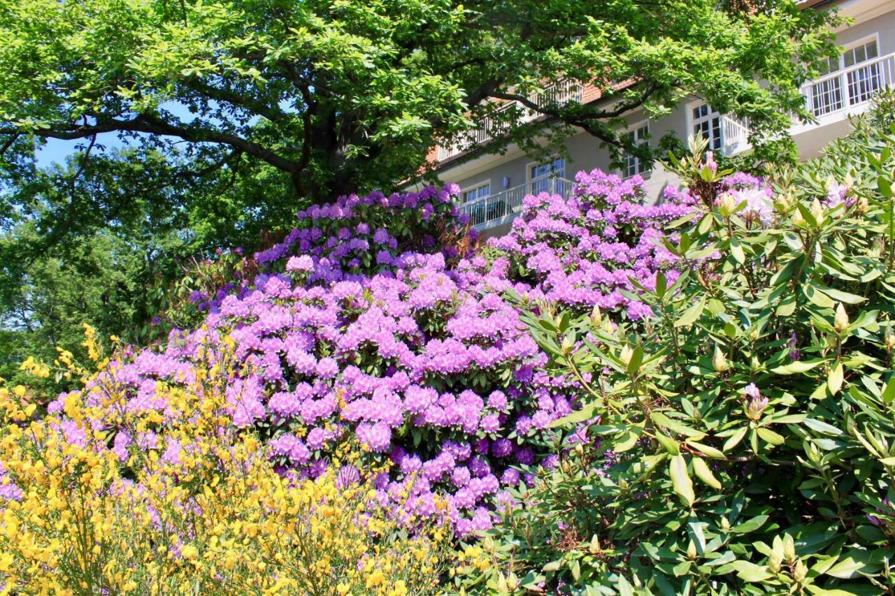 Ferienwohnung Natur Und Kunst Dresden Exterior foto