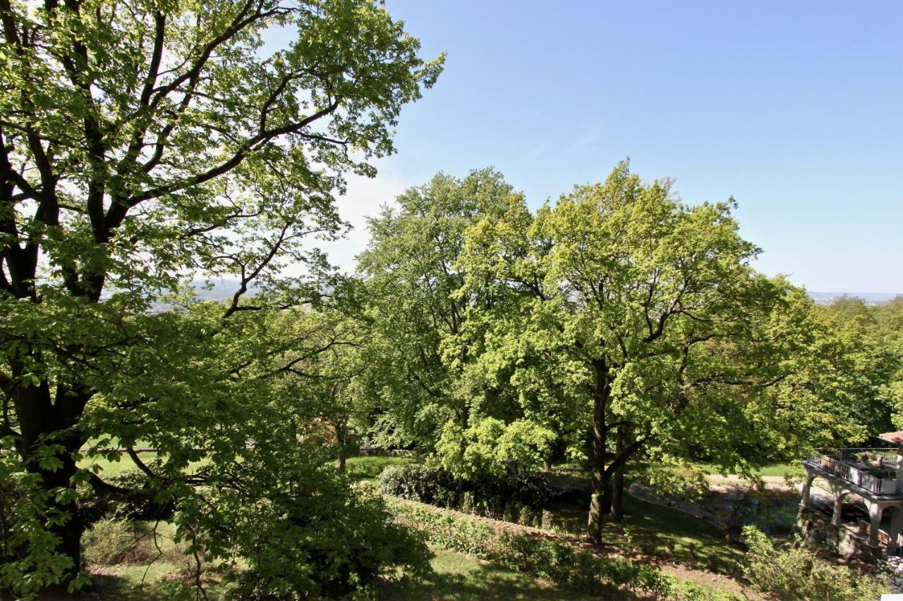 Ferienwohnung Natur Und Kunst Dresden Exterior foto