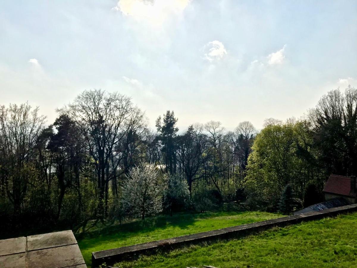 Ferienwohnung Natur Und Kunst Dresden Exterior foto